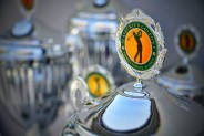 Puchar Prezydenta Siemianowic Śląskich w golfie