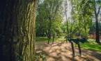 Nowe działania w Parku Ludowym, Lasku Bytkowskim i na os. Budryka