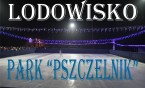 Nauka jazdy na łyżwach - Lodowisko Park Pszczelnik