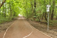 Ścieżka rowerowa w Parku Pszczelnik prowadzi aż do granicy z miastem Czeladź...