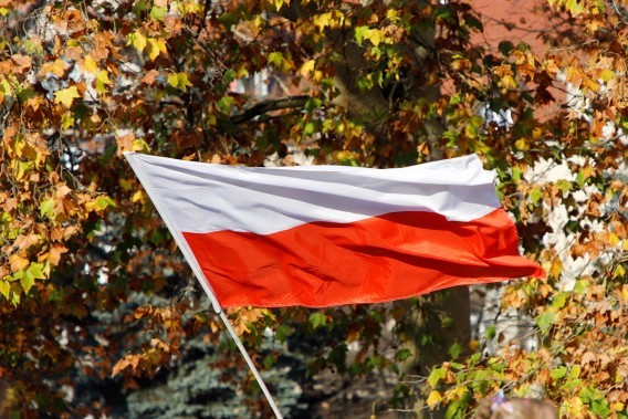 Polska flaga na tle jesiennych drzew