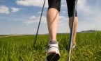 Nordic Walking (Siemianowicka Karta Seniora 60+) MOSiR „PSZCZELNIK”