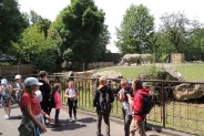 Dzieci przy zagrodzie nosorożców