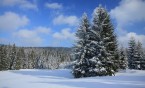 Zimowa wycieczka do Szczyrku z SCK-Jarzębina