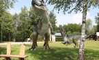 Zabawa w kręgu dinozaurów