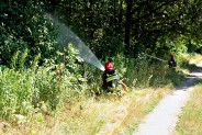 Akcja siemianowickich strażaków na Rzęsie.