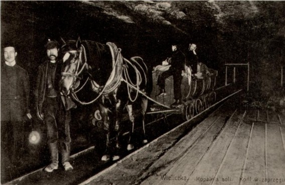 Koń pracujący w kopalni
