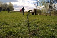 Akcja sadzenia drzew przy ul. Budryka 10.