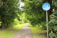 Ścieżka rowerowa do Parku Górnik od ul. Oświęcimskiej w stronę ul. Michałkowickiej