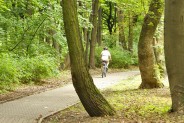 Ścieżka rowerowa w Parku Górnik