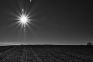 Zaorane pole z mocno świecącym słońcem - czarno białe zdjęcie Jerzego Silberringa