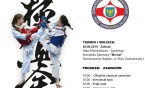 IV IKO Upper Silesia Cup – Ogólnopolski Turnieju w Karate Kyokushin