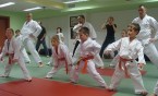 treningi siemianowickiego klubu Karate Kyokushin