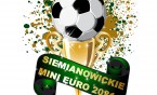 Finał SIEMIANOWICKIEGO MINI EURO 2021