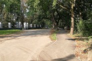 Fragment ścieżki rowerowej nr 1 przy Parku Pszczelnik.