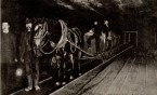 Konie pracujące w kopalniach