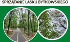 Stowarzyszenie Mieszkańców Siemianowic zaprasza do dołączenia do akcji sprzątania Lasku Bytkowskiego