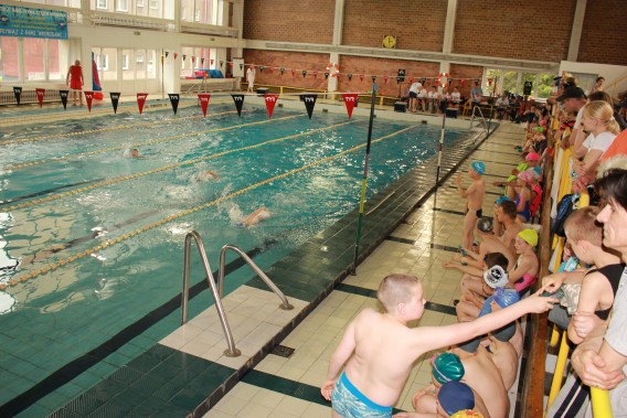 Dzieci pływające w basenie w trakcie mistrzostw