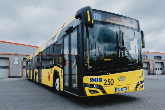 Żółty autobus