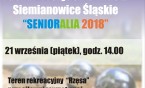Siemianowickie Senioralia 2018 na sportowo!