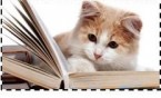 „Koci Świat” w bibliotece