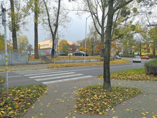 Przejście dla pieszych przy ulicy Michałkowickiej.