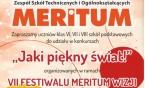VII Festiwal Meritum Wizji