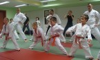Treningi siemianowickiego klubu Kyokushin Karate - dzieci, grupa początkująca