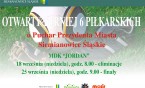 Otwarty Turniej 6 Piłkasrkich o Puchar Prezydenta Miasta Siemianowice Śląskie