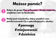 Grafika informacyjna akcji "Pies w koronie".