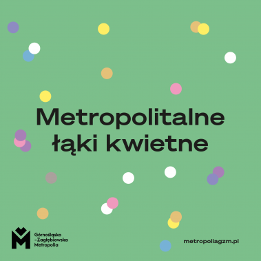 Na zielonym tle napis: Metropolitalne Łąki Kwietne